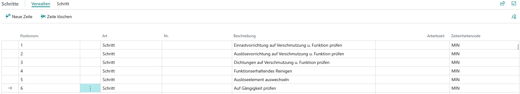 Abbildung 114: Leistungskarte, Zeilenbereich Schritte