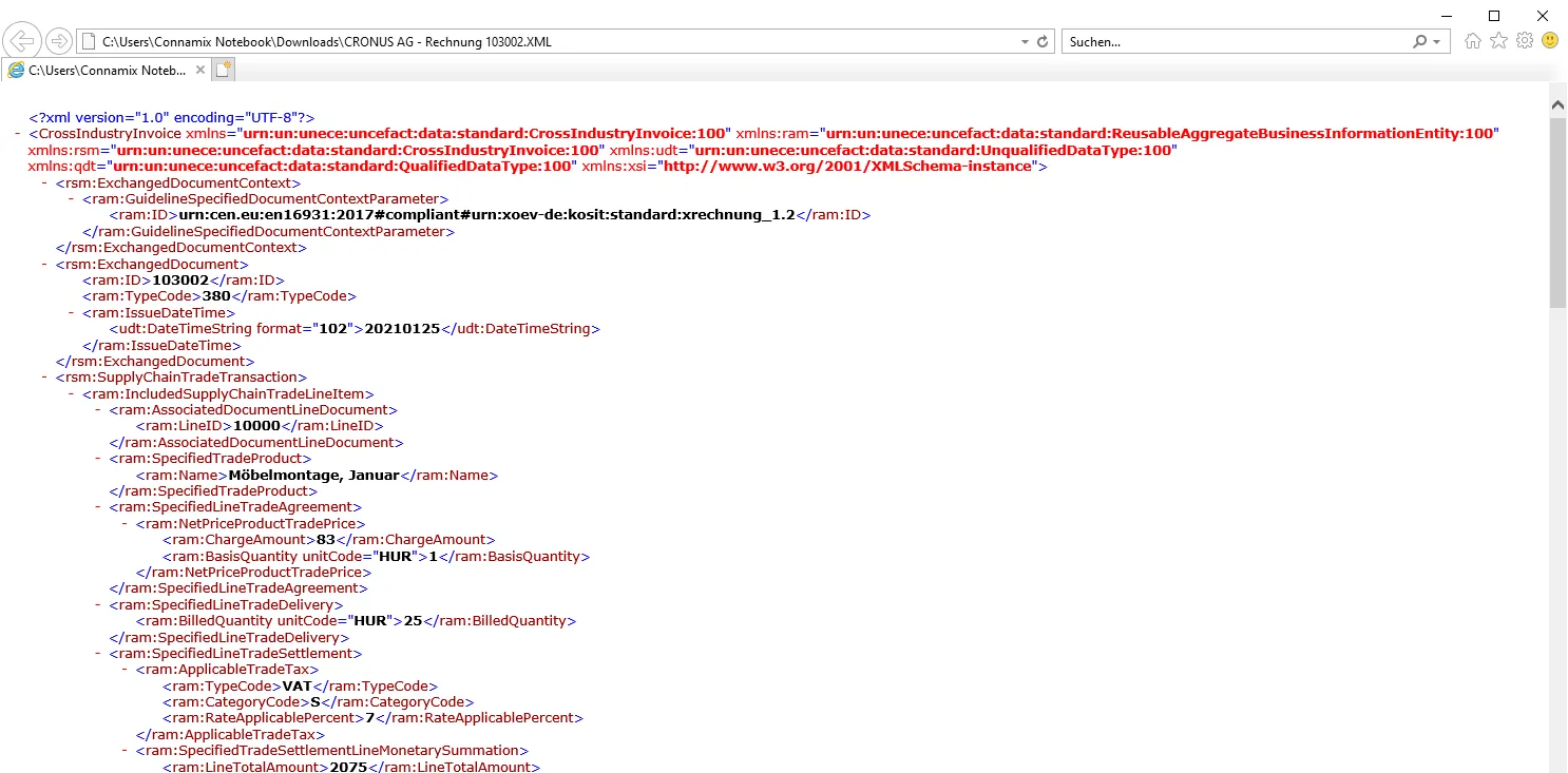 erzeugen-einer-xrechnung-im-cii-format05