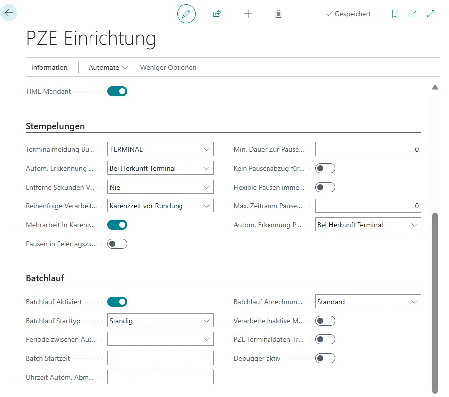 Einrichtung PZE Optionen PZE-Batchlauf Ansicht