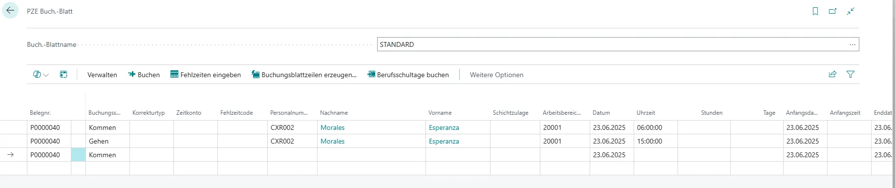 PZE-Buchblatt Ansicht